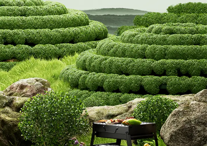 模漾网-Octane工程-茶园风光野营烧烤炉茶树绿草田野茶园造型-户外露营场景