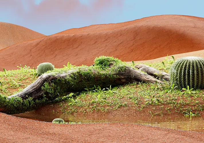 模漾网-Octane工程-绿植户外沙漠仙人掌场景