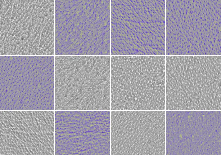 模漾网-30P-人体皮肤法线凹凸贴图-3K Skin-EXR-TIF格式