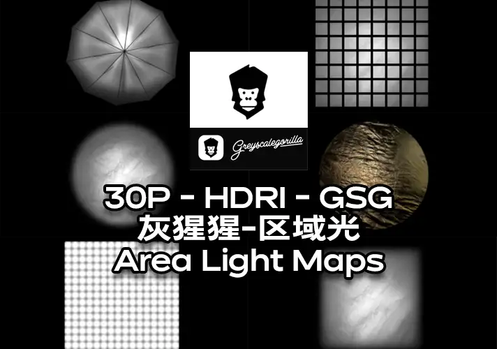 模漾网-30P-HDRI-GSG灰猩猩-室内区域光-Area Light Maps