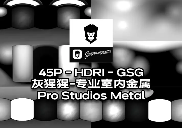 模漾网-45P-HDRI-GSG灰猩猩-室内金属专业摄影灯-Pro Studios Metal