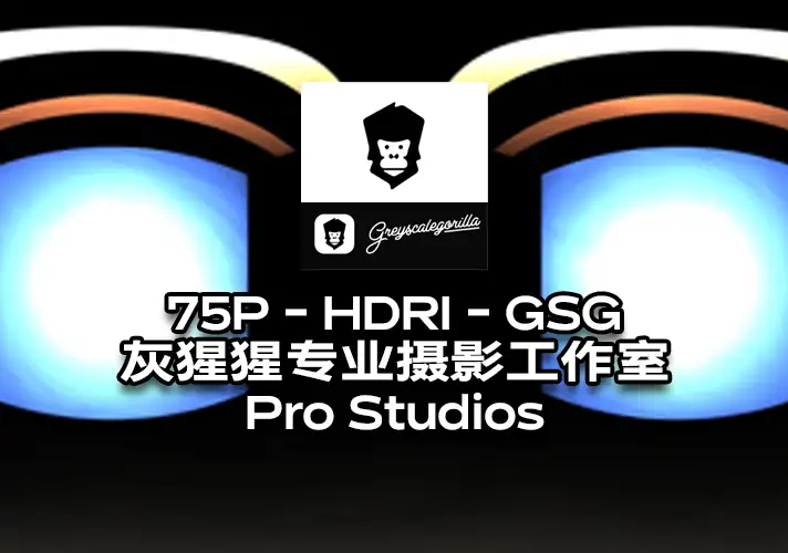 模漾网-75P-HDRI-GSG灰猩猩-室内专业摄影工作室灯-Pro Studios