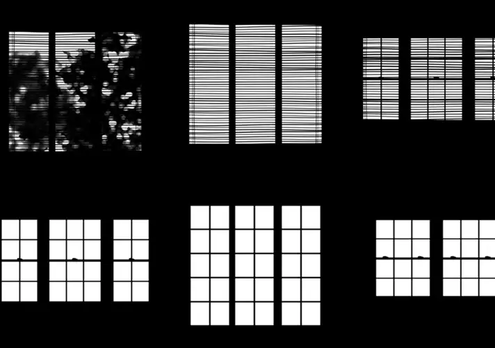 模漾网-64P-GSG灰猩猩-植物阴影叠加光影贴图-Greyscalegorilla Light Gobos