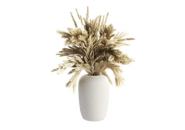 模漾网-1P-蒲苇花瓶-Apothecary Vase with Pampas Grass by Kristina Dam Studio