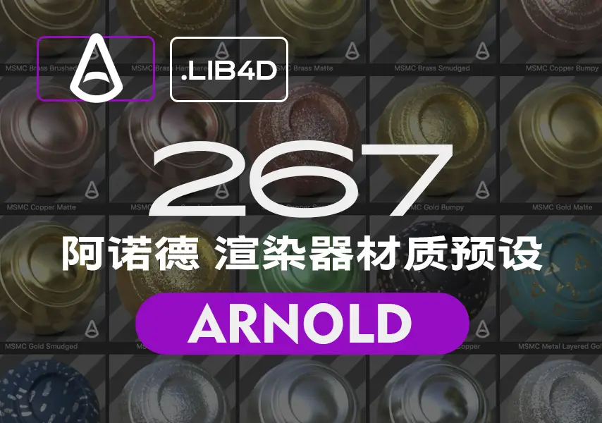 模漾网-267P-Arnold渲染器材质预设GSG_MSMC_Arnold.lib4d