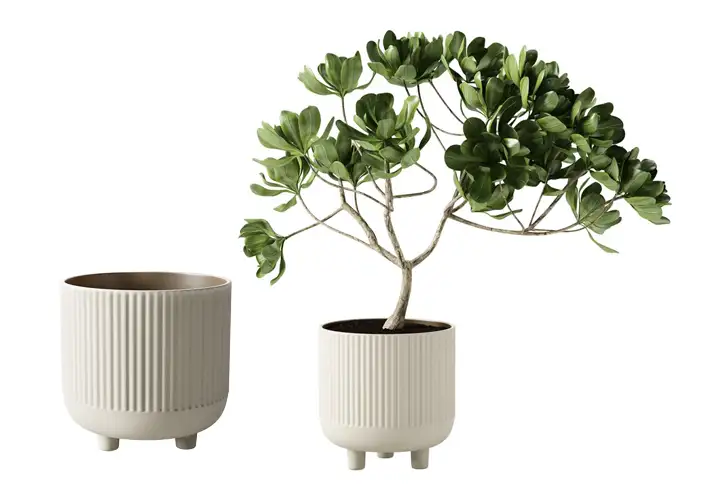 模漾网-2P-陶罐植物盆-Terracotta Bowl X-Large Plant Pot by Kristina Dam Studio