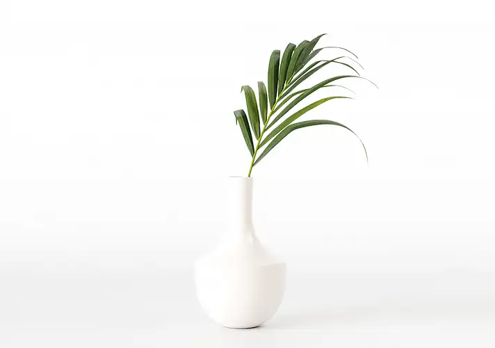 模漾网-1P-室内绿植盆栽植物3D模型 3DCollective – Interior Plants Pack 52