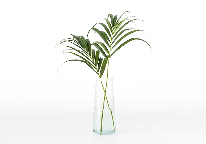 模漾网-1P-室内绿植盆栽植物3D模型 3DCollective – Interior Plants Pack 53