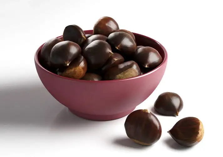 模漾网-1P- 板栗3D模型-3DCollective_Set38_Chestnut_Vray_4K