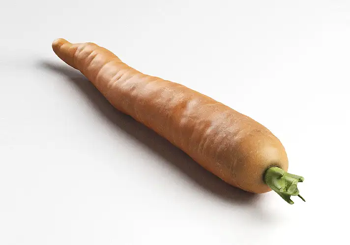 模漾网-1P- 胡萝卜3D模型-3DCollective_Vol1_049Carrot_02_Vray_4K