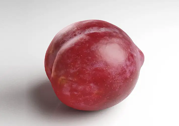 模漾网-1P-李子3D模型-3DCollective_Vol1_073Plum_02_Vray_4K