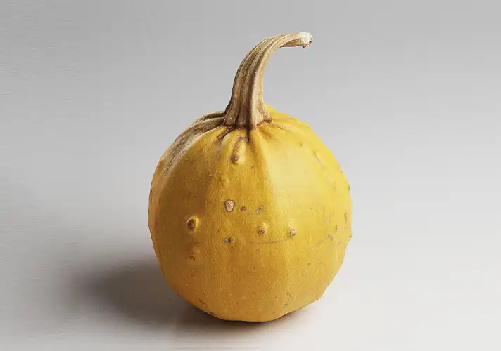 模漾网-1P-南瓜3D模型-3DCollective_Vol1_051Pumpkin_01_Vray_4K