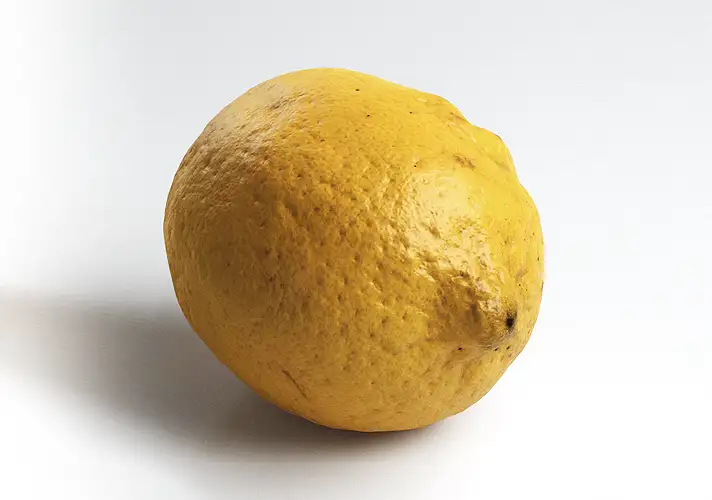 模漾网-1P-柠檬3D模型-3DCollective_Vol1_011Lemon_02_Vray_4K