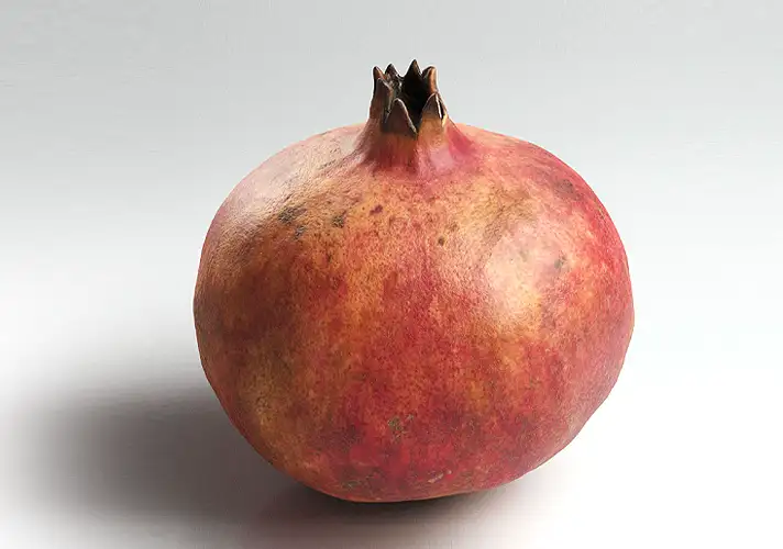 模漾网-1P-石榴3D模型-3DCollective_Vol1_045Pomegranade_01_Vray_4K