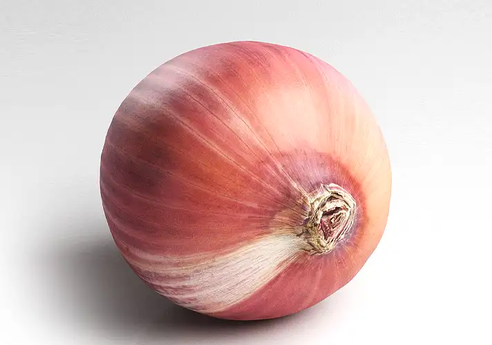 模漾网-1P- 洋葱3D模型-3DCollective_Vol1_066Onion_01_Vray_4K