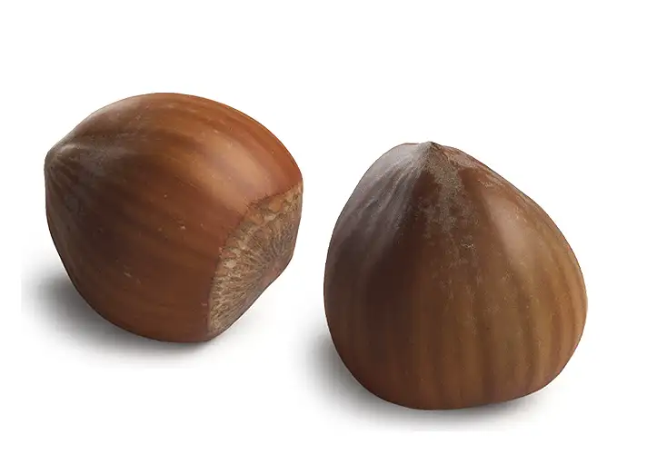 模漾网-2P- 榛子3D模型-3DCollective_Vol1_064Hazelnut_03_Vray_4K