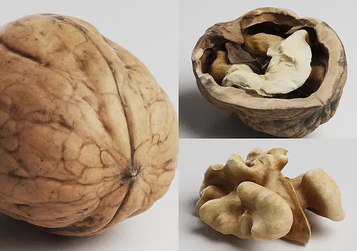 模漾网-3P- 核桃3D模型-3DCollective_Vol1_006Nuts_02_Vray_4K