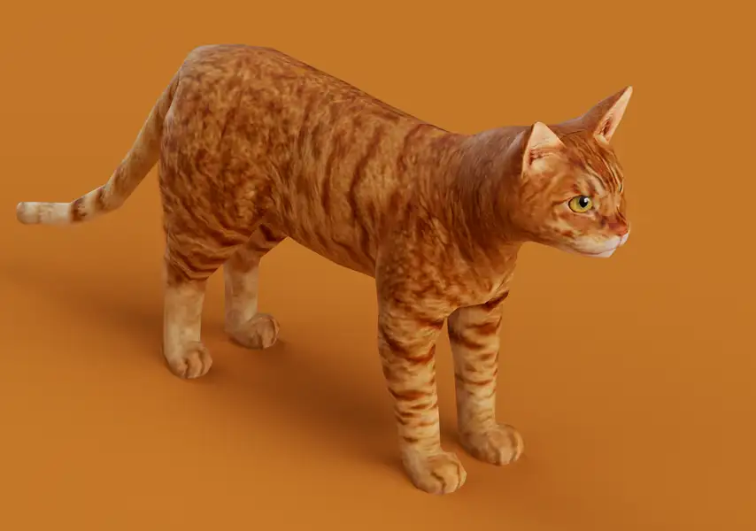 模漾网-1P-三花猫家猫-动物角色骨骼绑定-C4D模型