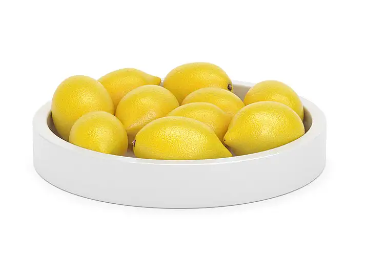 模漾网-1P-水果柠檬-Fruit Lemon