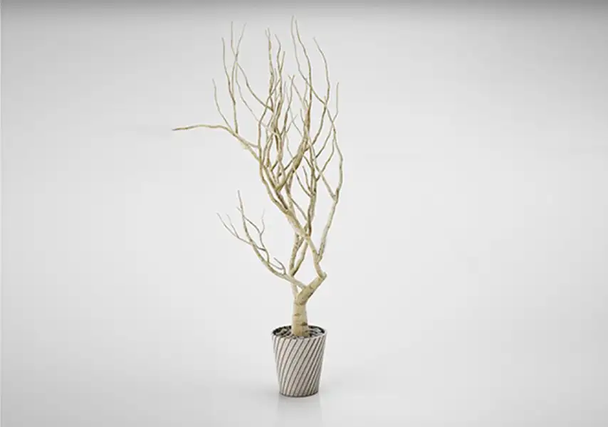 模漾网-1P-树枝盆栽