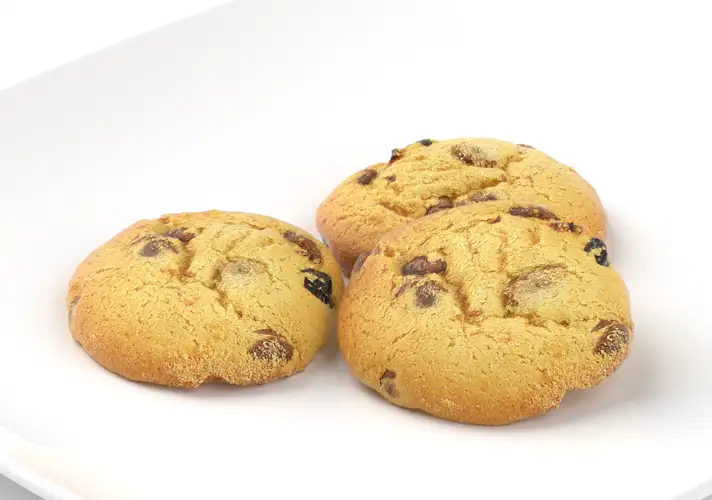 模漾网-1P-饼干-Biscuit-33