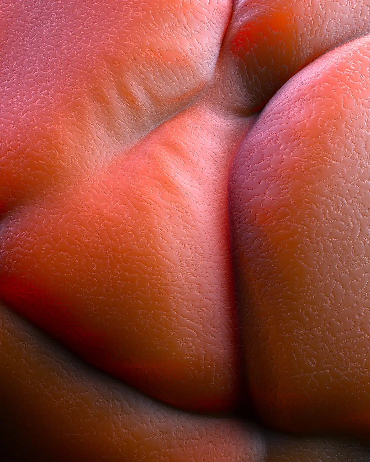 模漾网-1P-Octane-皮肤肤质质感SSS-Contraption-C4D动画工程