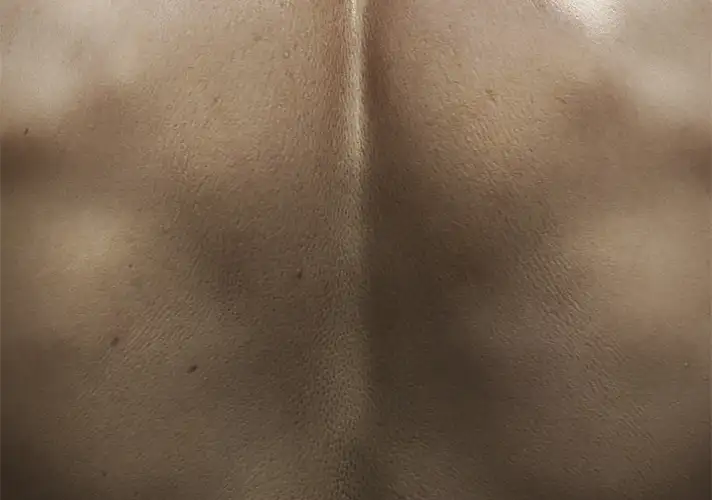 模漾网-1P-皮肤肤质质感SSS-Octane-C4D工程