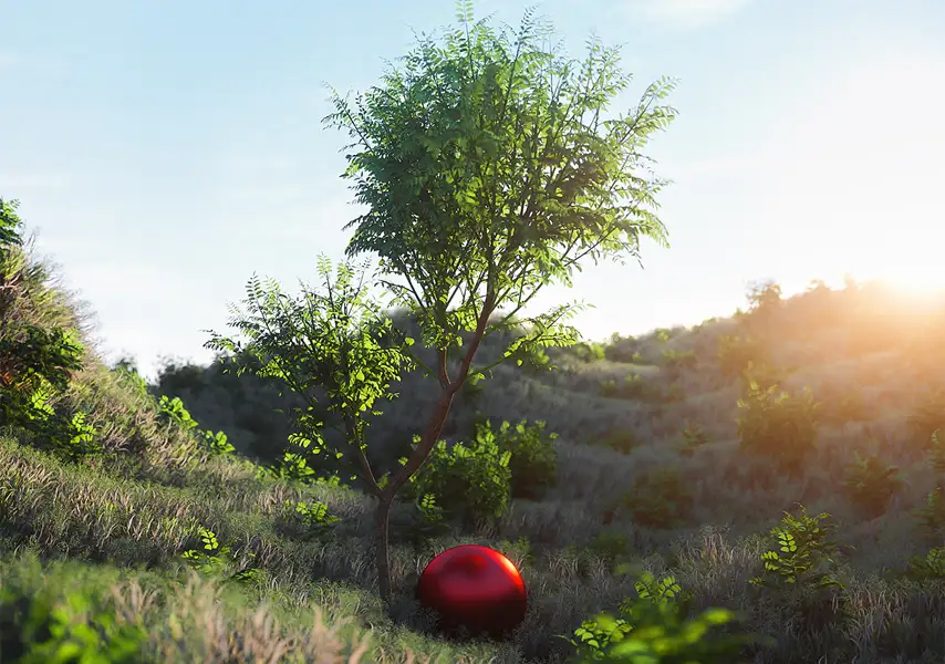 模漾网-1P-覆盖茂密绿色植被树木的山坡红色球体-Waiting-C4D工程