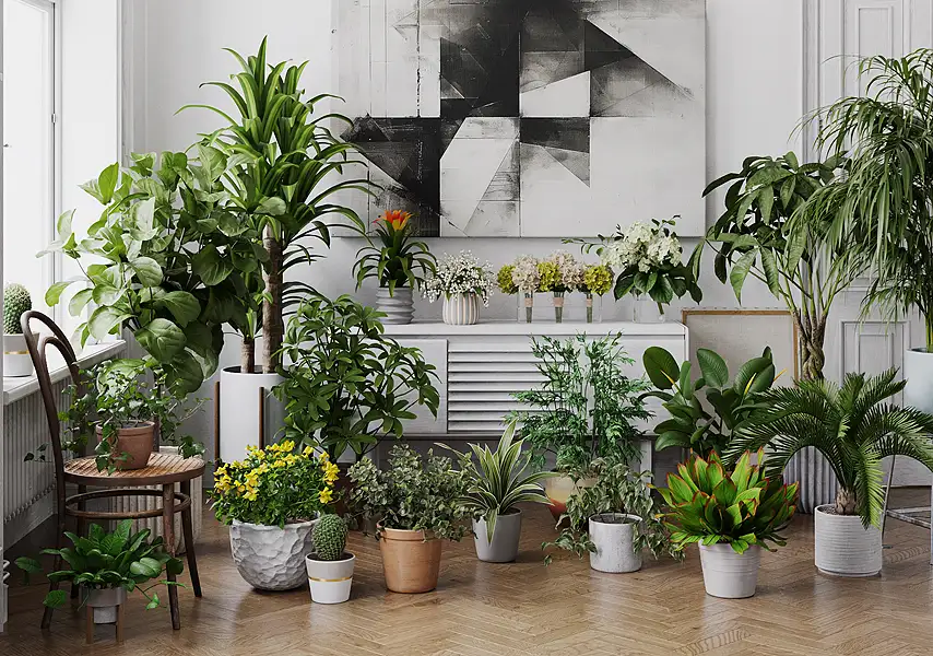 模漾网-20P-绿植盆裁室内植物盆景-模型集合-V1