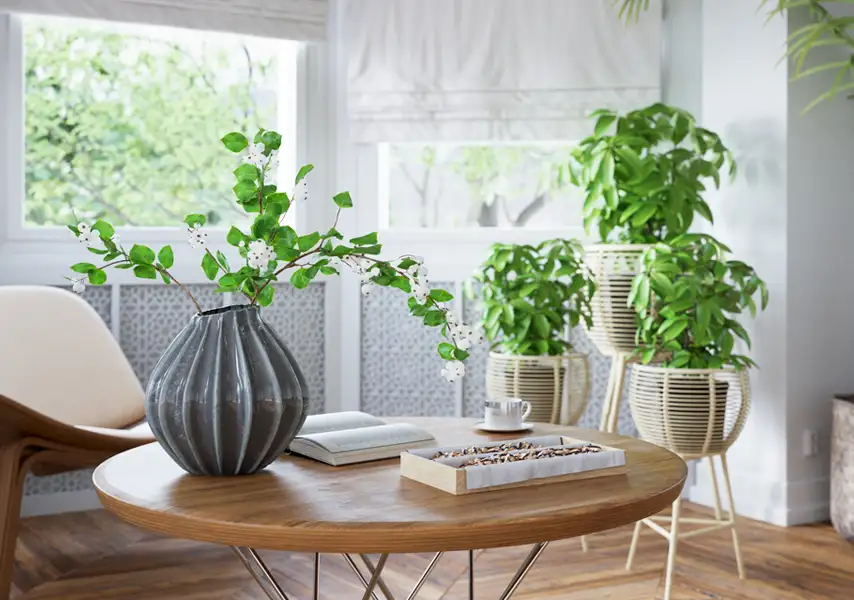 模漾网-46P-居室植物盆栽绿植-模型合集