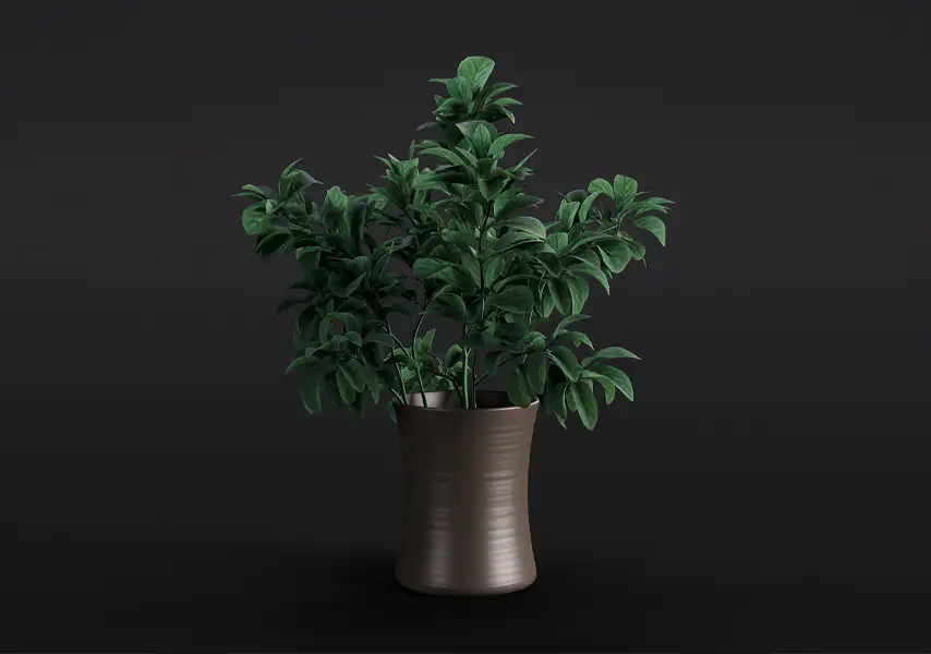 模漾网-1P-鹅掌柴绿植棕色陶罐盆栽-模型