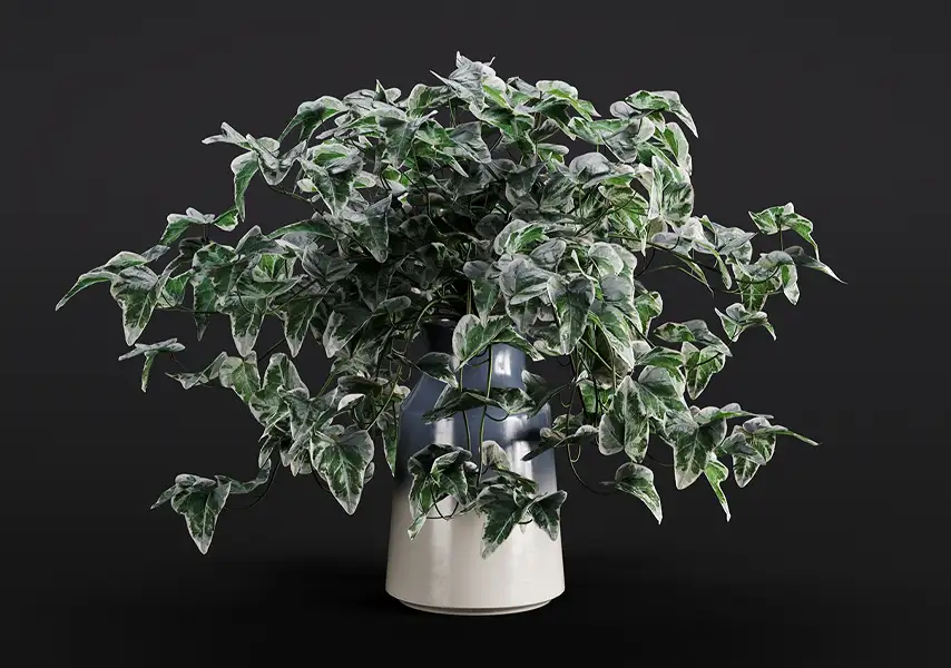 模漾网-1P-绿萝麒麟叶常绿藤本植物盆栽-模型