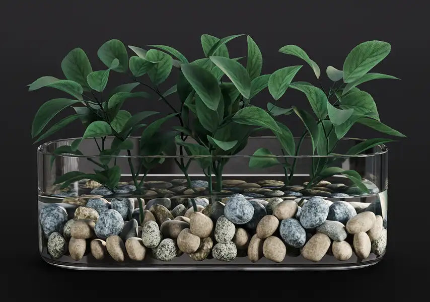 模漾网-1P-水培绿萝植物鹅卵石玻璃盆栽-模型