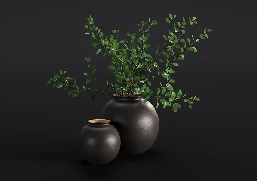 模漾网-1P-枝叶茂盛的米兰常绿灌木盆栽-模型