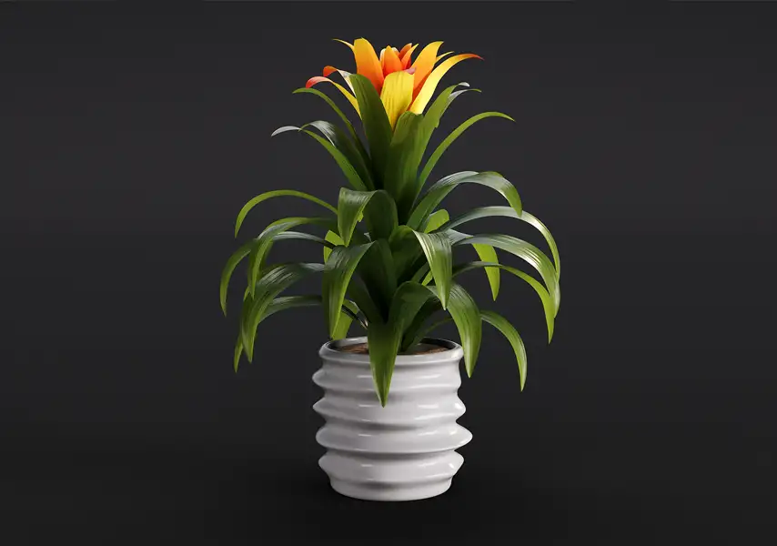 模漾网-1P-水塔凤梨花常绿植物盆景-模型