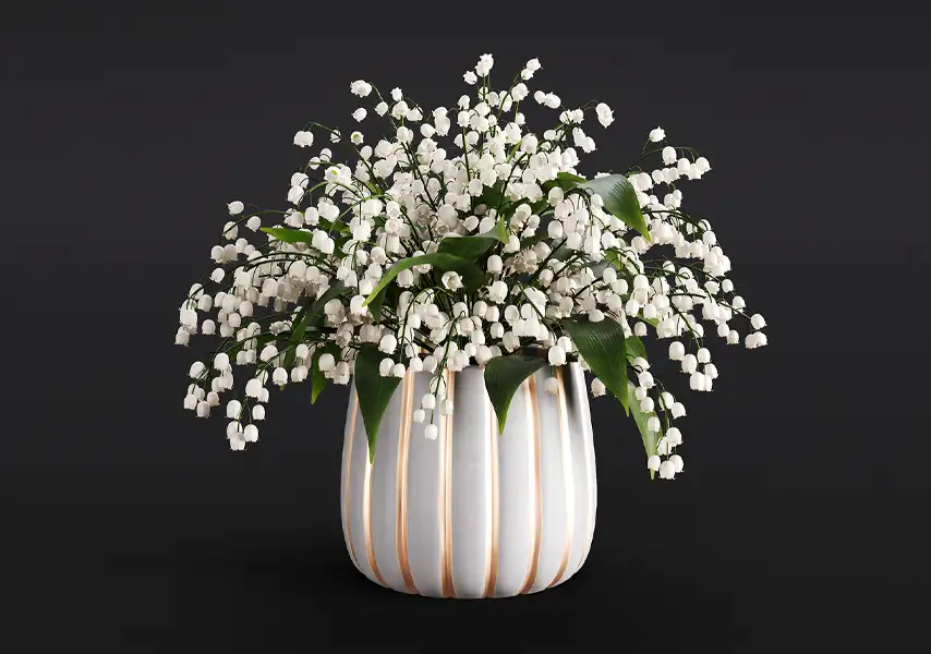 模漾网-1P-铃兰山谷百合植物室内盆景-模型