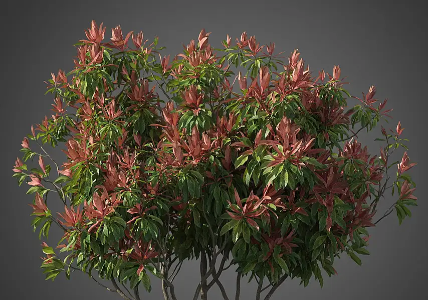 模漾网-40P-景观树干树木乔木森林柳树园林绿植-模型合集