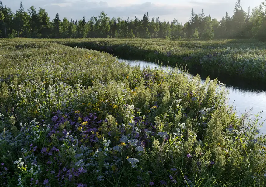 模漾网-15P-植物草本花朵花卉-模型合集