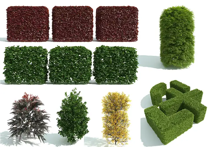 模漾网-60P-城市园林绿篱灌木矮木绿化景观植物造型树木-模型合集