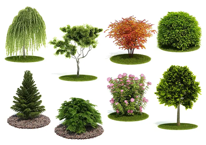 模漾网-60P-园林景观灌木乔木绿篱植物绿化带-模型合集