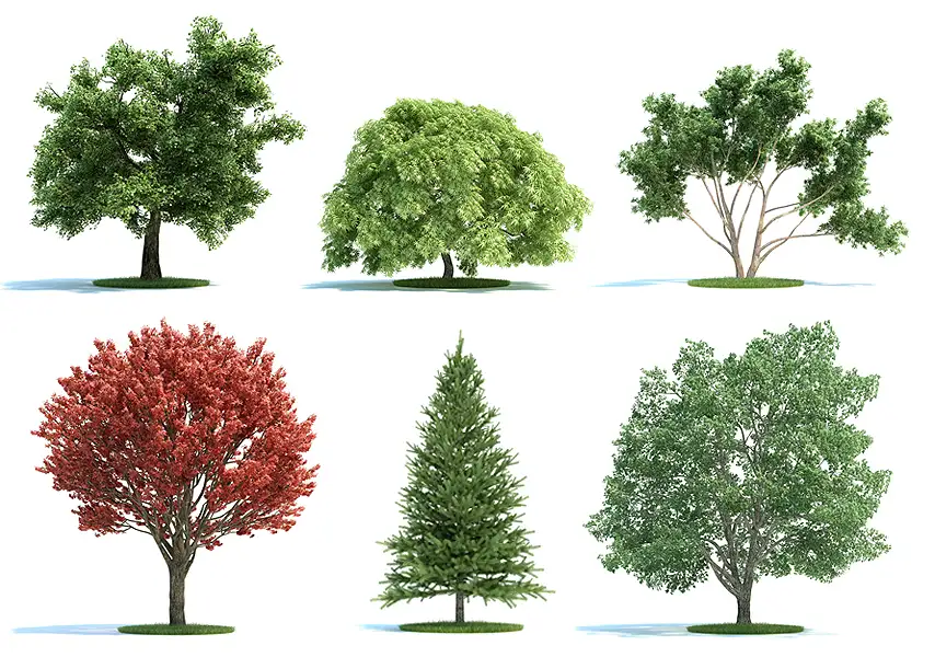模漾网-60P-园林景观大树柳树柏树植物盆栽-模型合集