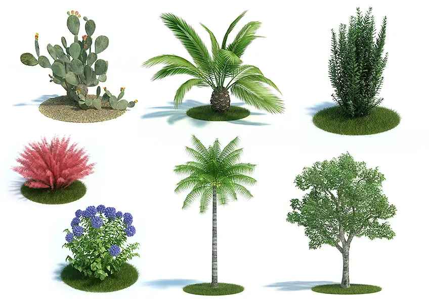 模漾网-62P-园林景观花卉植物绿化带仙人掌凤梨橄榄树-模型合集