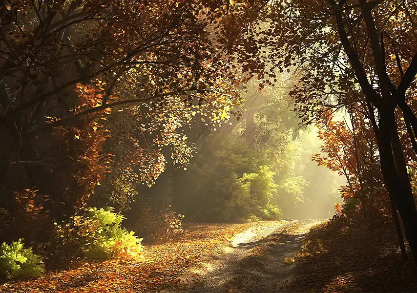 模漾网-100P-秋季冬季乔木树木草地山坳落叶树木雪景树木-模型+场景合集