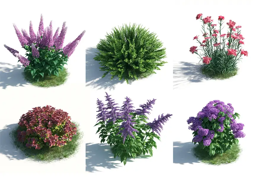 模漾网-54P-鸢尾花蕨草花卉植物景观花卉-模型合集
