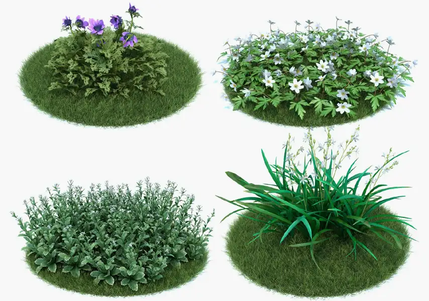 模漾网-50P-植物绿植花朵景观花卉-模型合