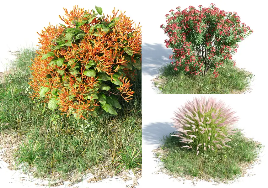 模漾网-60P-灌树绿篱植物花朵花卉草本植物-模型合集