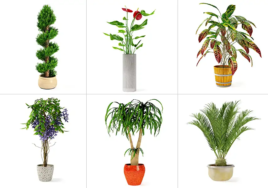 模漾网-65P-园林景观花卉植物盆栽摆设-模型合集