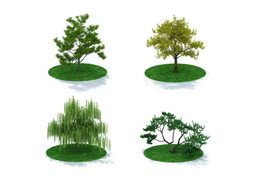 模漾网-65P-园林绿化苗木常绿树落叶树灌木-模型合集