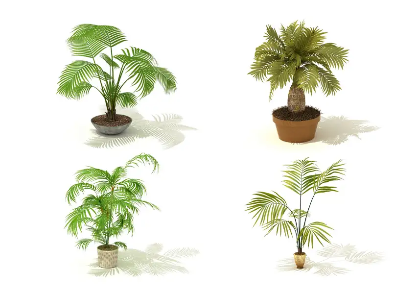 模漾网-65P-室内绿色植物盆栽-模型合集