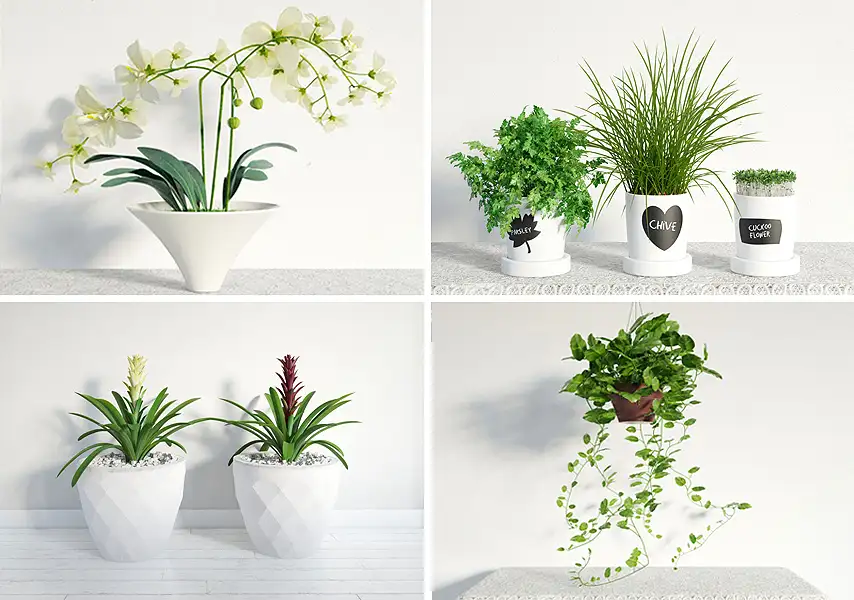 模漾网-48P-室内盆栽绿植花卉植物绿化百合草客厅摆件-模型合集